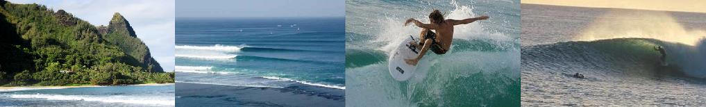 http://www.surfboardshapingmachine.com/system3.jpg
